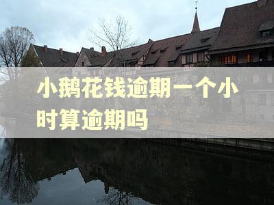 小鹅花钱逾期一个小时算逾期吗