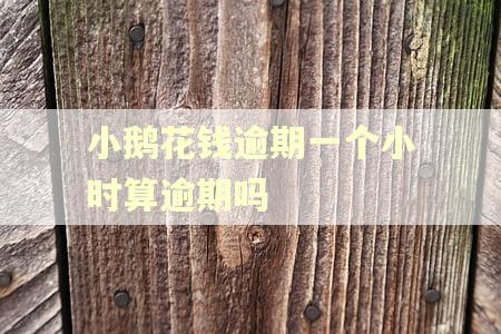 小鹅花钱逾期一个小时算逾期吗