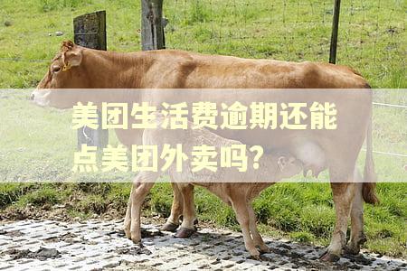 美团生活费逾期还能点美团外卖吗?