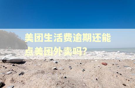 美团生活费逾期还能点美团外卖吗? 美团生活费逾期还能点美团外卖吗?