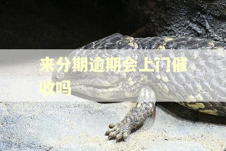 来分期逾期会上门催收吗