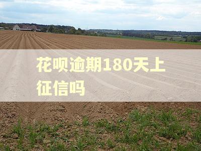 花呗逾期180天上征信吗