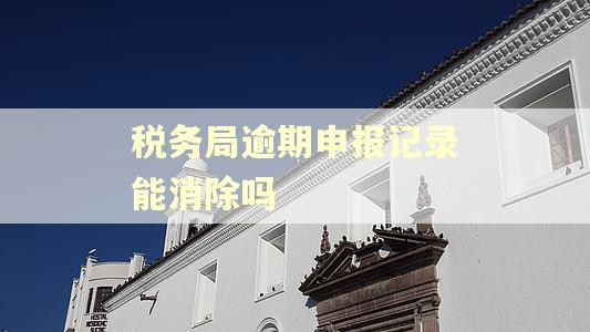 税务局逾期申报记录能消除吗 税务局逾期申报记录能消除吗