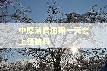 中原消费逾期一天会上征信吗