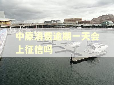 中原消费逾期一天会上征信吗