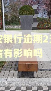 平安银行逾期2天对征信有影响吗