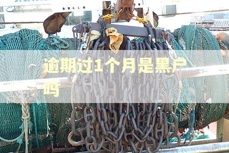 逾期过1个月是黑户吗