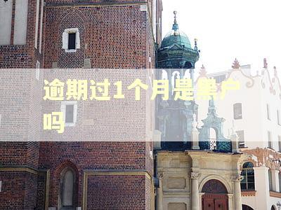 逾期过1个月是黑户吗