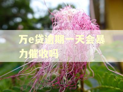 万e贷逾期一天会暴力催收吗