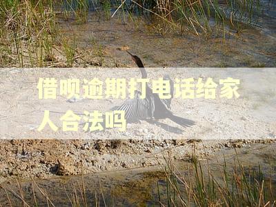 借呗逾期打电话给家人合法吗