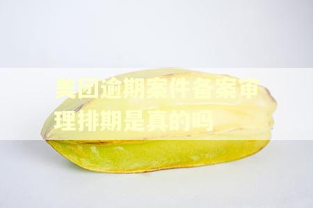 美团逾期案件备案审理排期是真的吗