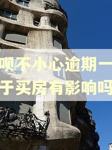 借呗不小心逾期一天对于买房有影响吗
