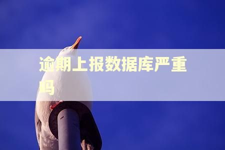 逾期上报数据库严重吗