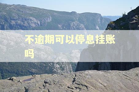 不逾期可以停息挂账吗