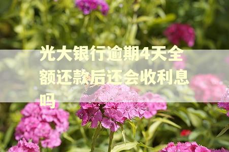 光大银行逾期4天全额还款后还会收利息吗
