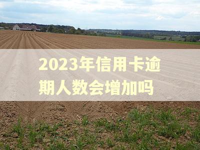 2023年信用卡逾期人数会增加吗