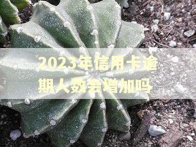 2023年信用卡逾期人数会增加吗 2023年信用卡逾期人数会增加吗