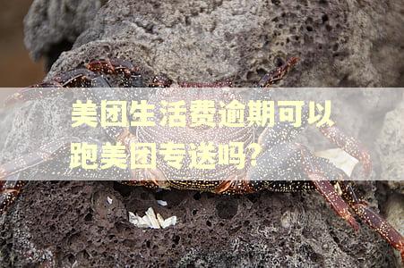 美团生活费逾期可以跑美团专送吗?