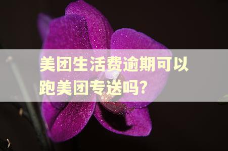 美团生活费逾期可以跑美团专送吗?