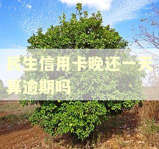 民生信用卡晚还一天算逾期吗