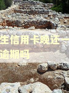 民生信用卡晚还一天算逾期吗
