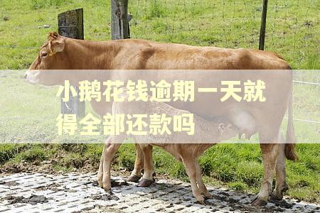 小鹅花钱逾期一天就得全部还款吗