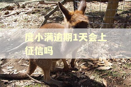 度小满逾期1天会上征信吗