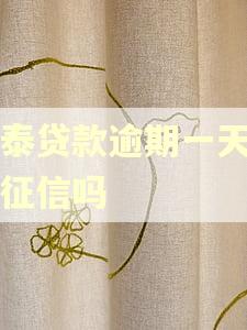 民泰贷款逾期一天会上征信吗