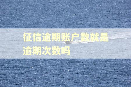 征信逾期账户数就是逾期次数吗