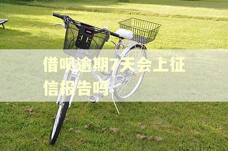 借呗逾期7天会上征信报告吗