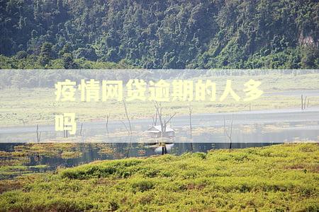 疫情网贷逾期的人多吗 疫情网贷逾期的人多吗