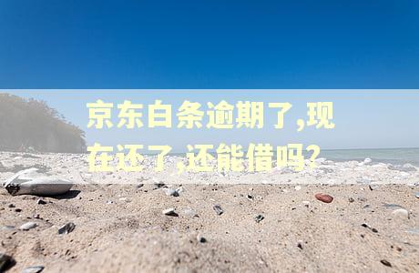 京东白条逾期了,现在还了,还能借吗?