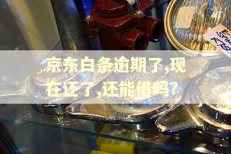 京东白条逾期了,现在还了,还能借吗?