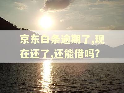 京东白条逾期了,现在还了,还能借吗?