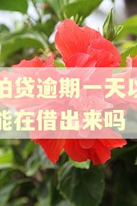 拍拍贷逾期一天以后还能在借出来吗