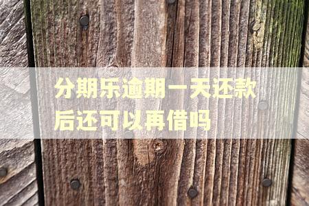 分期乐逾期一天还款后还可以再借吗