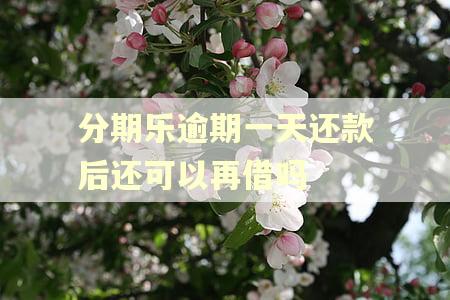 分期乐逾期一天还款后还可以再借吗