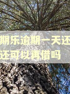 分期乐逾期一天还款后还可以再借吗 分期乐逾期一天还款后还可以再借吗