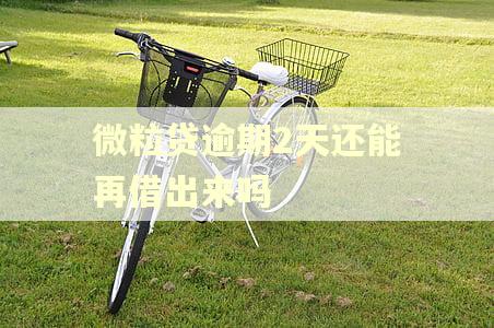 微粒贷逾期2天还能再借出来吗