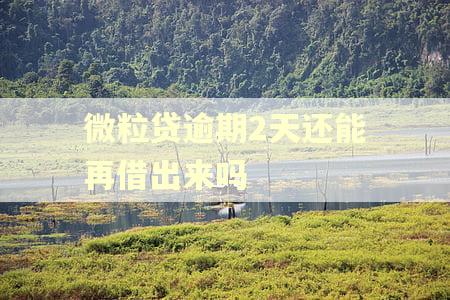 微粒贷逾期2天还能再借出来吗 微粒贷逾期2天还能再借出来吗
