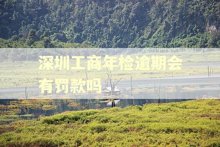 深圳工商年检逾期会有罚款吗