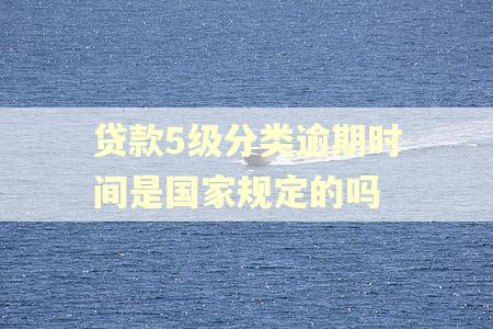 贷款5级分类逾期时间是国家规定的吗