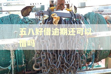 五八好借逾期还可以借吗