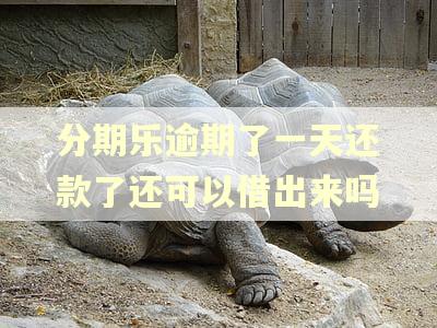 分期乐逾期了一天还款了还可以借出来吗
