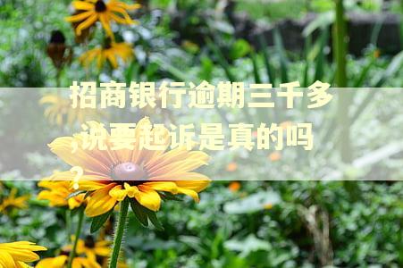 招商银行逾期三千多,说要起诉是真的吗?