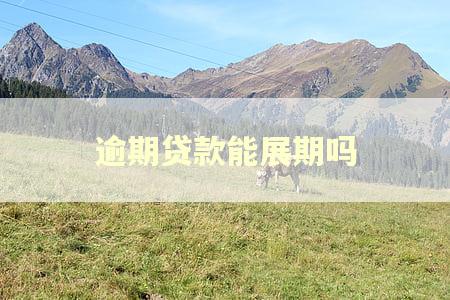 逾期贷款能展期吗