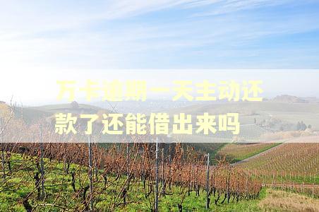 万卡逾期一天主动还款了还能借出来吗