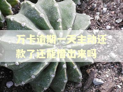 万卡逾期一天主动还款了还能借出来吗