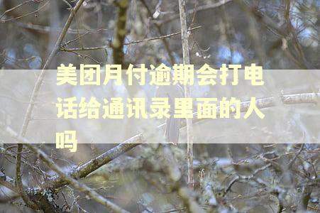 美团月付逾期会打电话给通讯录里面的人吗