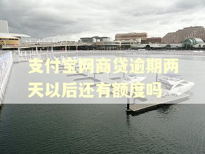 支付宝网商贷逾期两天以后还有额度吗